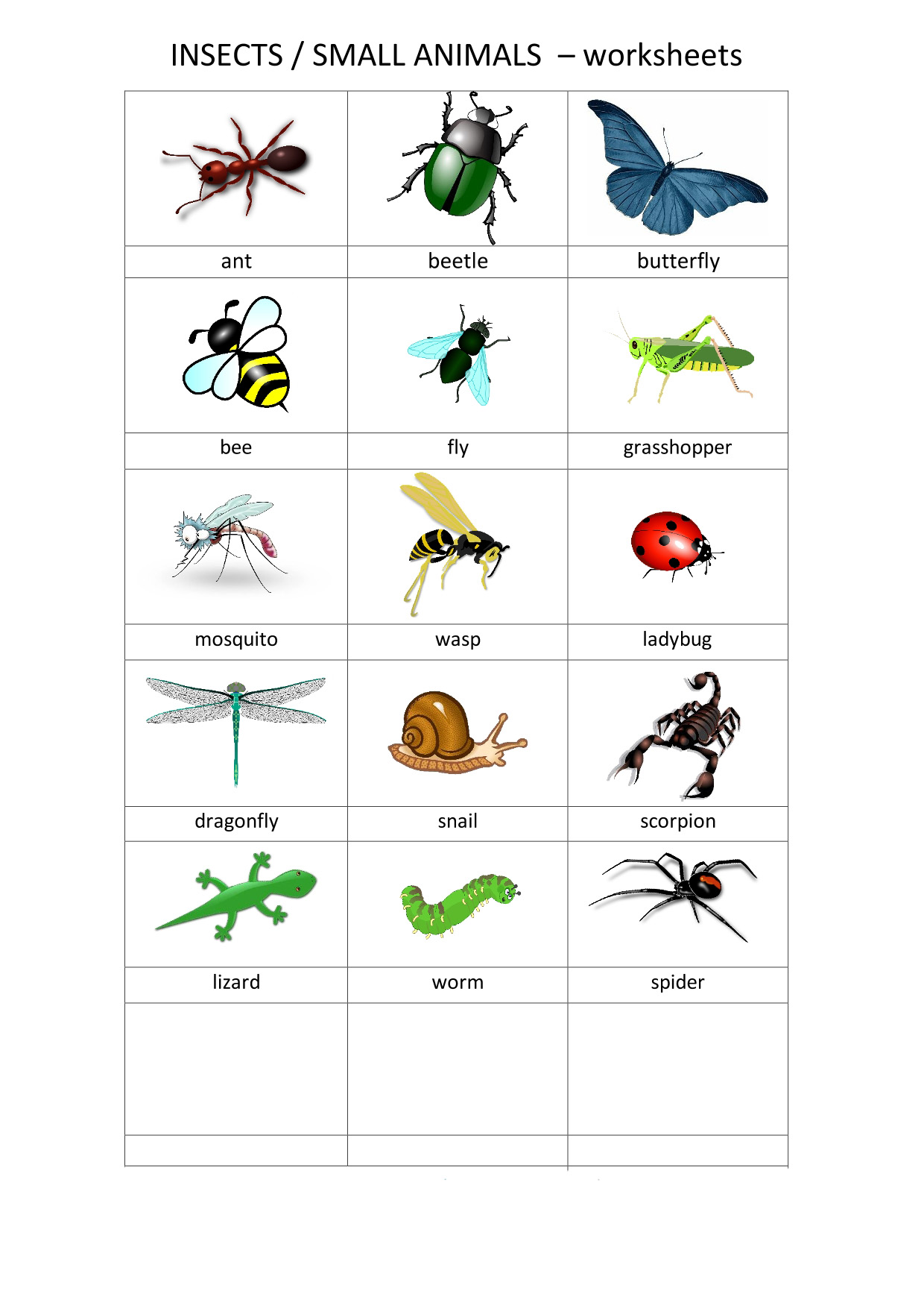 insects-small-animals-1
